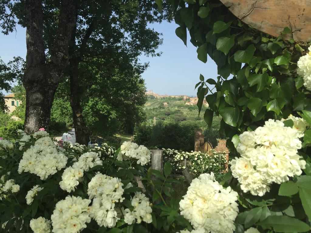 Podere Sant'Elena San Gimignano Bagian luar foto