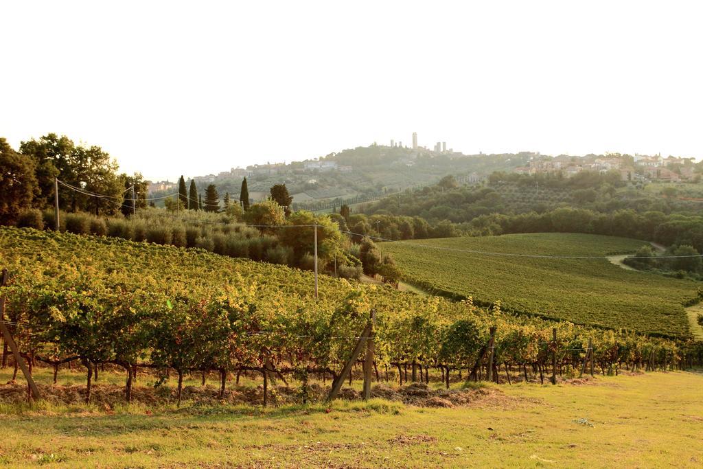 Podere Sant'Elena San Gimignano Bagian luar foto